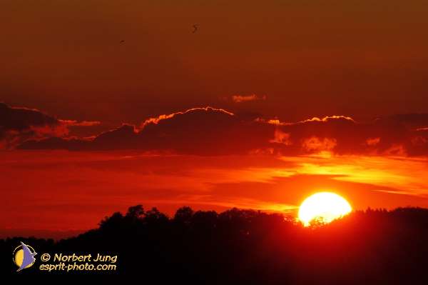 Nom de l'image : D1073204-nef — Description :