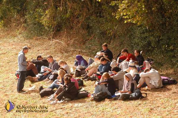 Nom de l'image : D1073336-01 — Description :