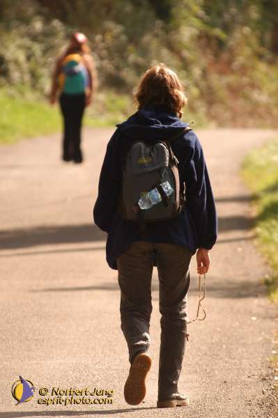 Nom de l'image : D1073455-01 — Description :