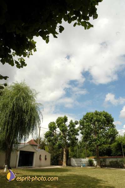 Nom de l'image : D1153395-01 — Description :