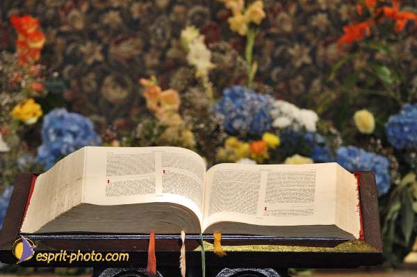 Nom de l'image : E00052751-1 — Description :