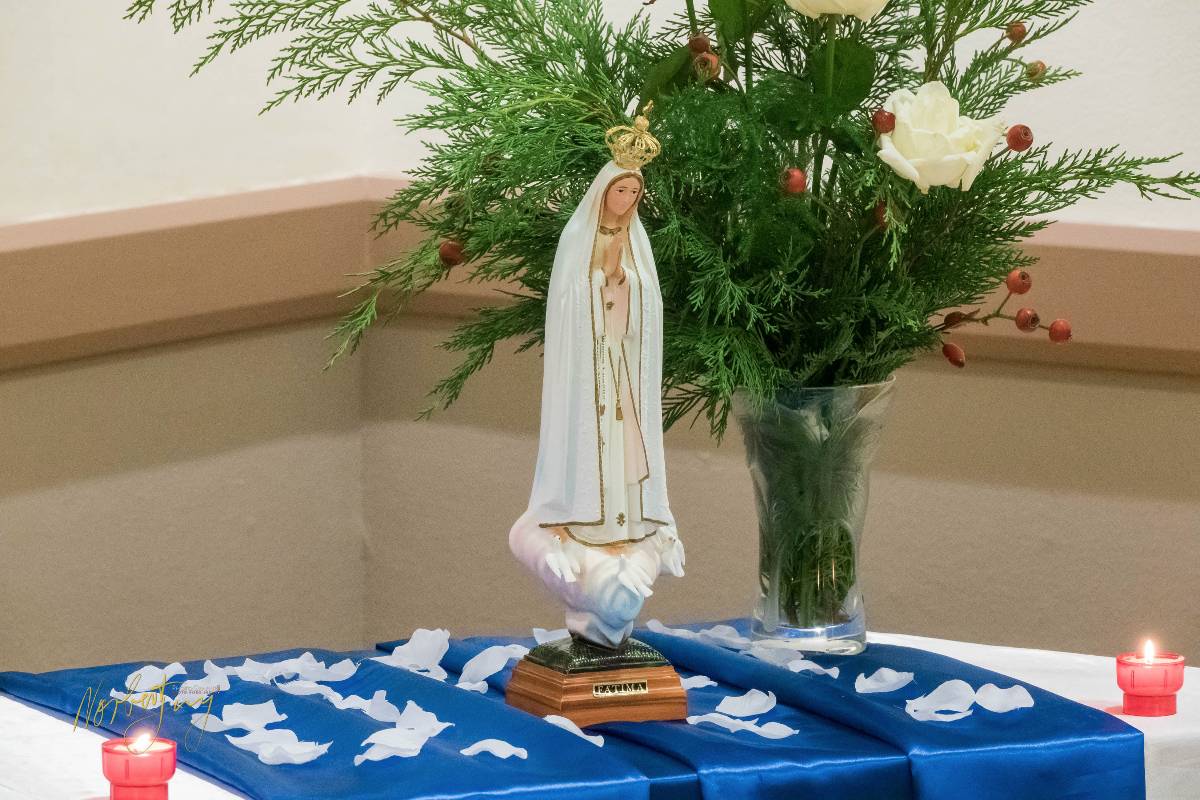 Nom de l'image : S1114638_c_Photographie.Pro — Description :