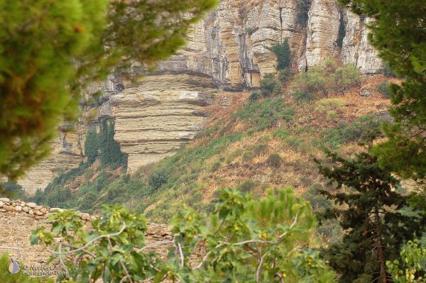 Nom de l'image : EP07c008 — Description :