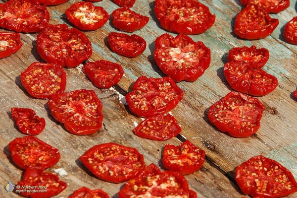 Nom de l'image : EP07c029 — Description :