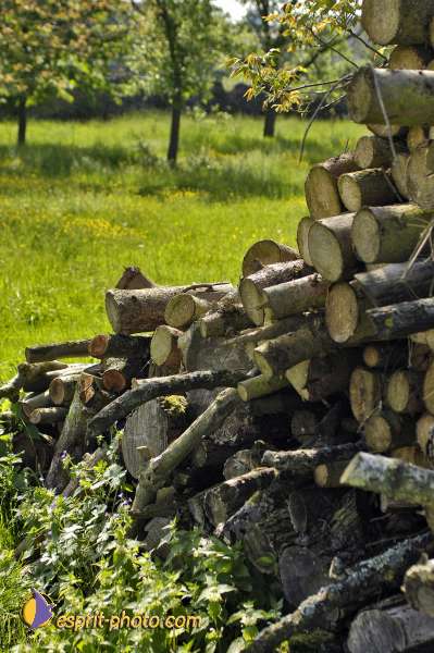 Nom de l'image : D2007491-1 — Description :