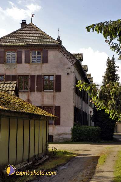 Nom de l'image : D2007498-1 — Description :