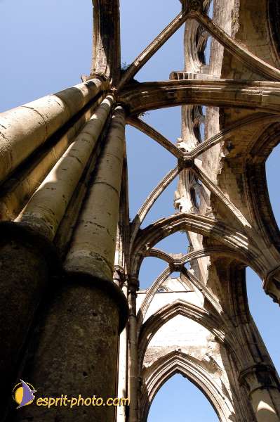 Nom de l'image : D1135416-01 — Description :