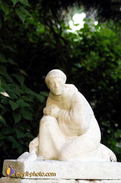 Nom de l'image : D1135431-01 — Description :