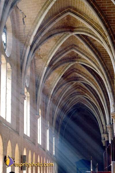 Nom de l'image : D1135540-01 — Description :