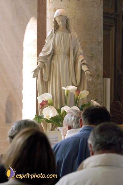 Nom de l'image : D1135646-01 — Description :