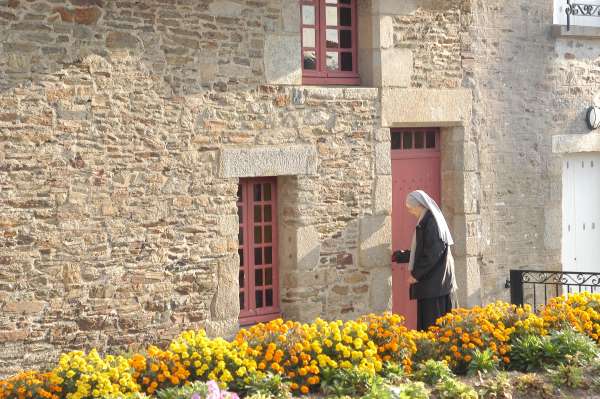 Nom de l'image : E00011404-01 — Description :