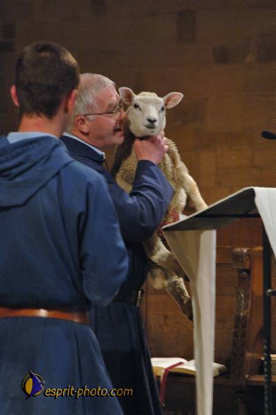 Nom de l'image : D2167870_1 — Description :  Routes de Vèzelay 2006 Pélerinage : Route de Vézelay 28 mai 2006