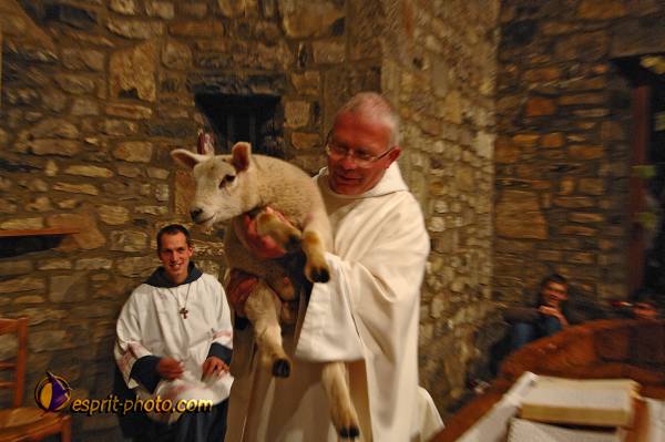 Nom de l'image : D2221331_1 — Description :