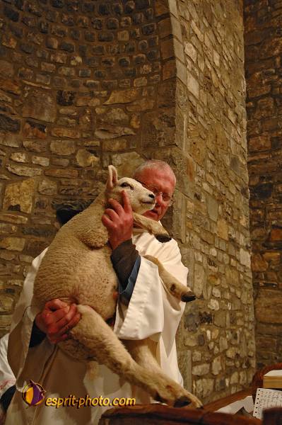 Nom de l'image : D2221355_1 — Description :