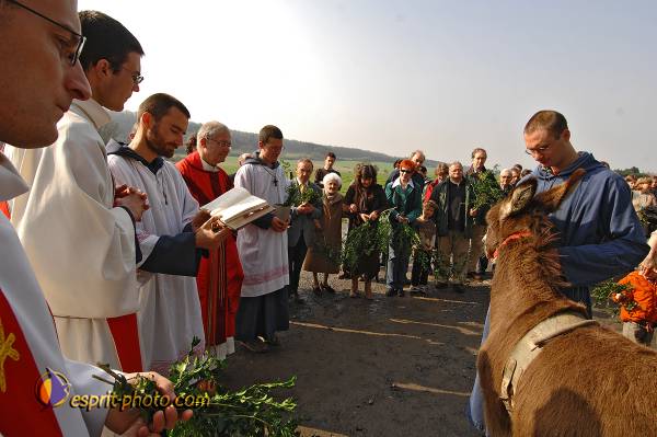 Nom de l'image : D2213037_1 — Description :