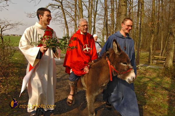 Nom de l'image : D2213047_1 — Description :