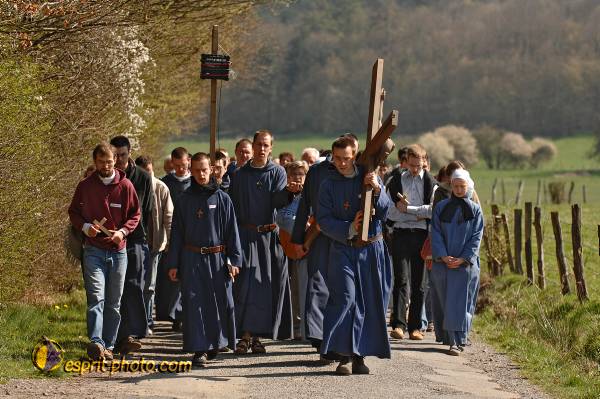 Nom de l'image : D2219646_1 — Description :