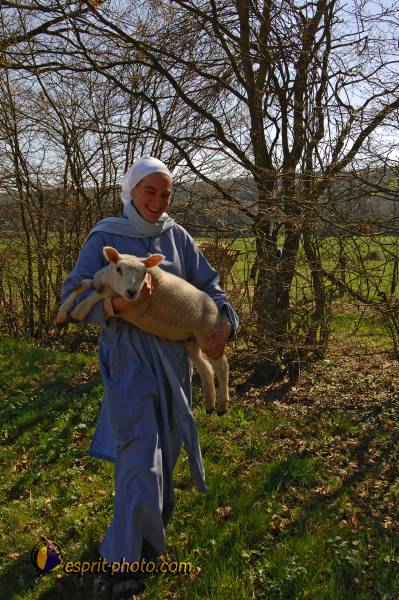 Nom de l'image : D2222305_1 — Description :