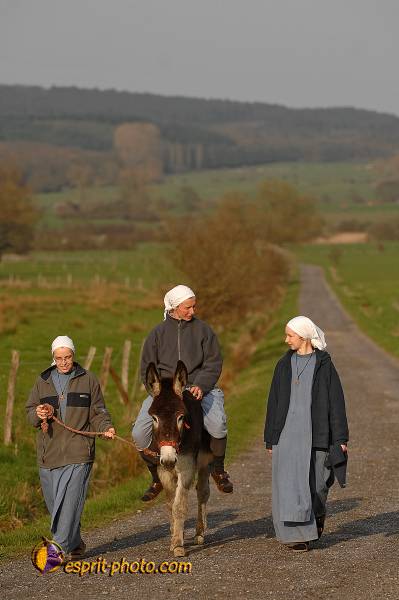 Nom de l'image : D2213446_1 — Description :