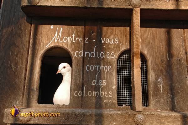 Nom de l'image : D2214110_1 — Description :