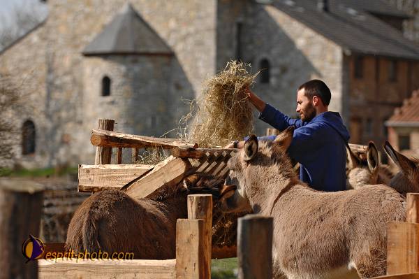 Nom de l'image : D2214338_1 — Description :