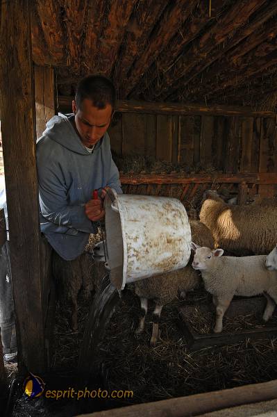 Nom de l'image : D2214547_1 — Description :