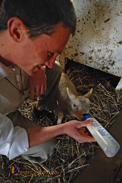 Nom de l'image : D2214822_1 — Description :