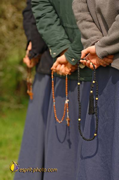 Nom de l'image : D2215276_1 — Description :