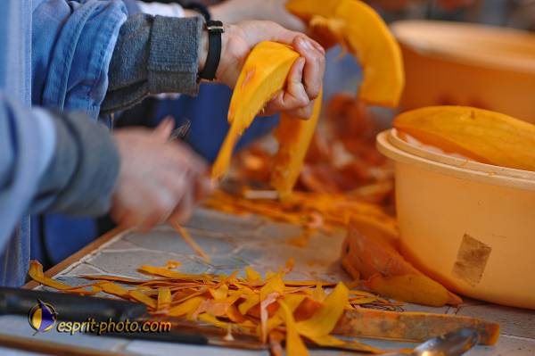 Nom de l'image : D2215727_1 — Description :