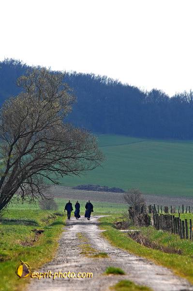 Nom de l'image : D2216333_1 — Description :