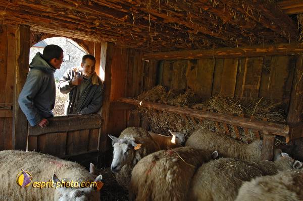 Nom de l'image : D2216679_1 — Description :