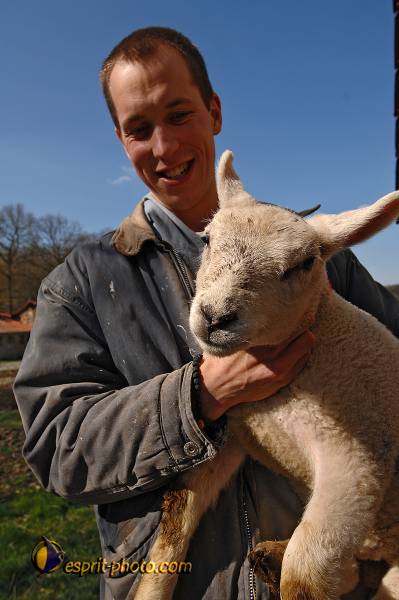 Nom de l'image : D2216691_1 — Description :