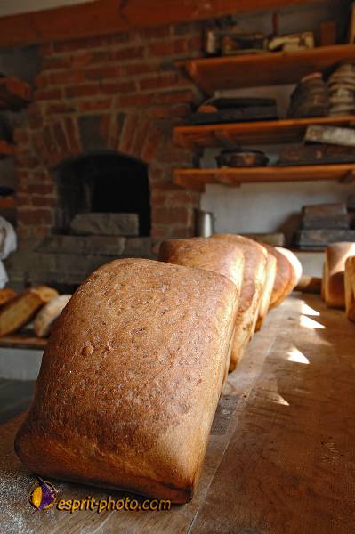 Nom de l'image : D2218410_1 — Description :