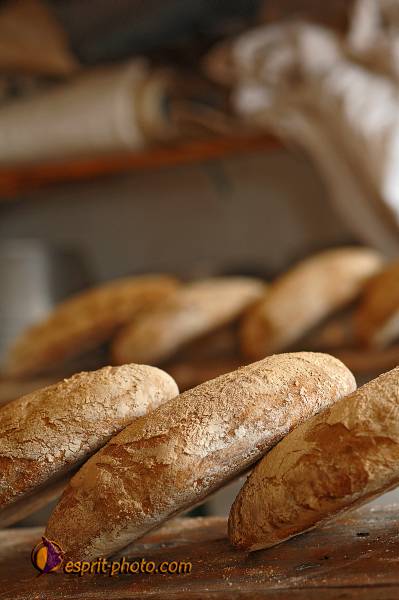 Nom de l'image : D2218562_1 — Description :