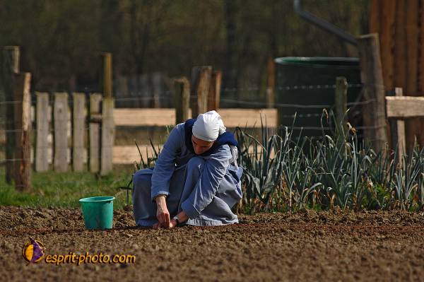 Nom de l'image : D2218633_1 — Description :