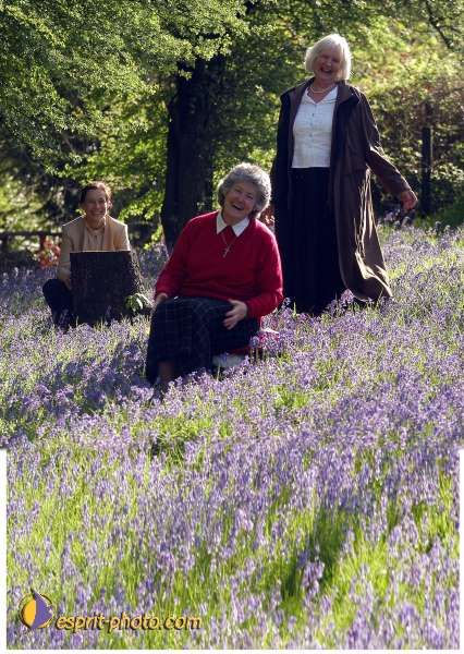 Nom de l'image : D1129987-01 — Description :