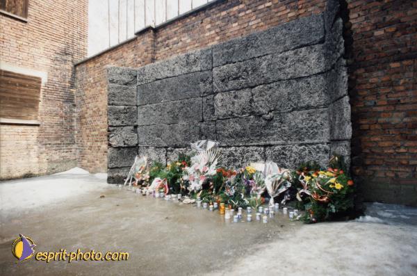 Nom de l'image : A1C01309 — Description :