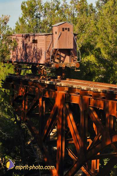Nom de l'image : D1201640-1 — Description :  Voyage en Terre Sainte avec Jeunesse Lumière