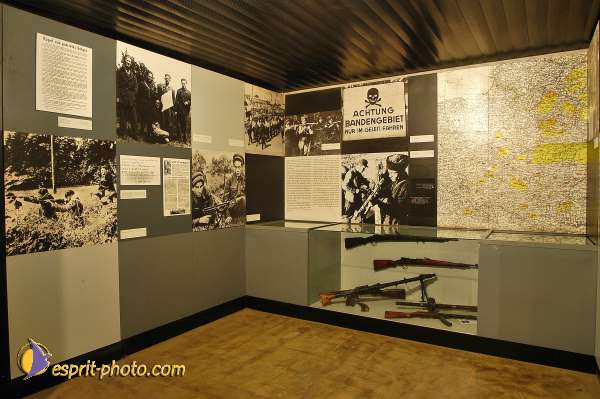 Nom de l'image : D1201740-1 — Description :  Voyage en Terre Sainte avec Jeunesse Lumière