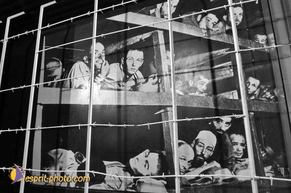 Nom de l'image : D1201745-1NB — Description :  Voyage en Terre Sainte avec Jeunesse Lumière