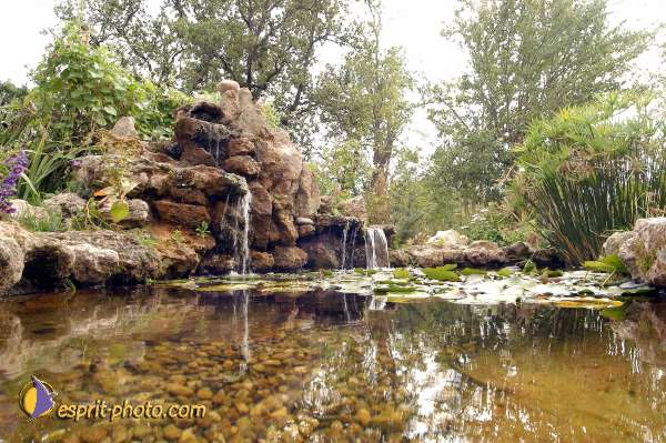 Nom de l'image : D1070661-01 — Description :