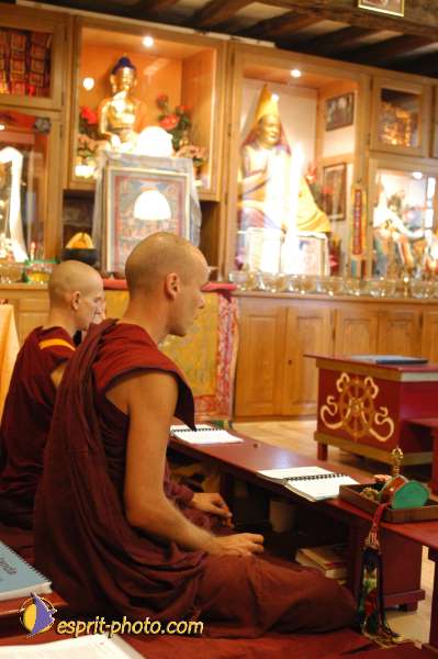 Nom de l'image : D1070871 — Description :