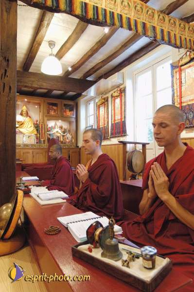 Nom de l'image : D1070896-nef-01 — Description :