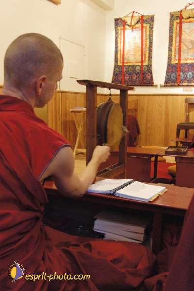 Nom de l'image : D1070920-nef-01 — Description :