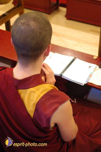 Nom de l'image : D1070926-01 — Description :