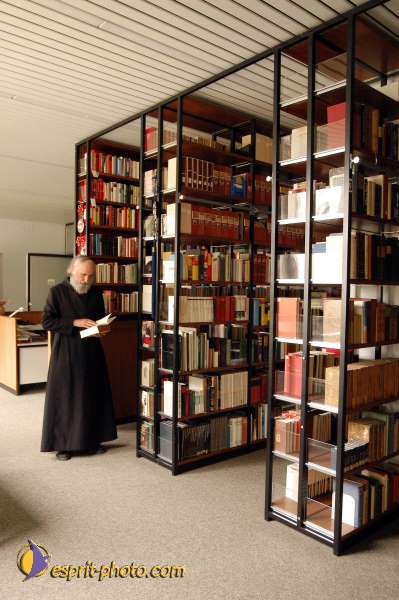 Nom de l'image : D1130433-01 — Description :