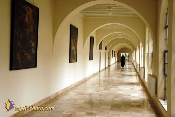 Nom de l'image : D1130644-01 — Description :