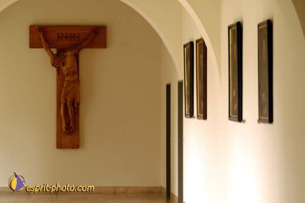 Nom de l'image : D1130690-01 — Description :