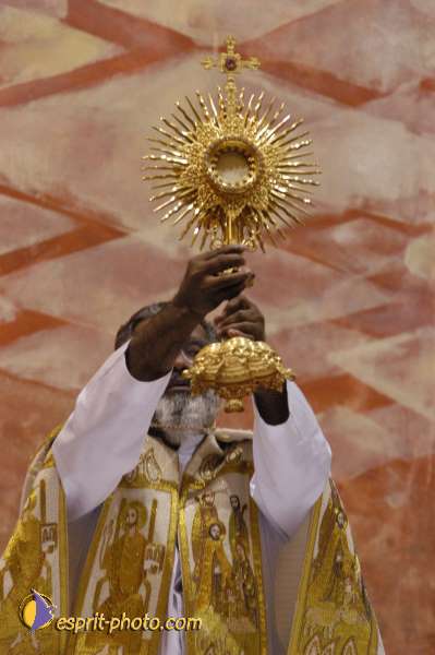 Nom de l'image : DSC_6854 — Description :