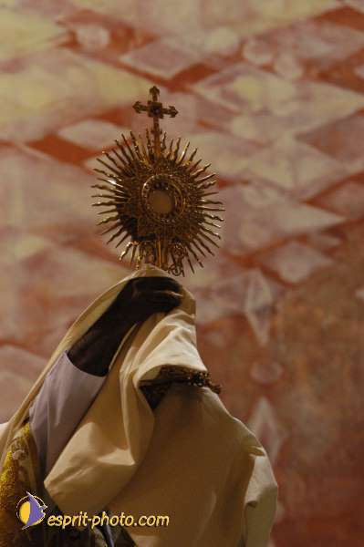 Nom de l'image : DSC_6864 — Description :